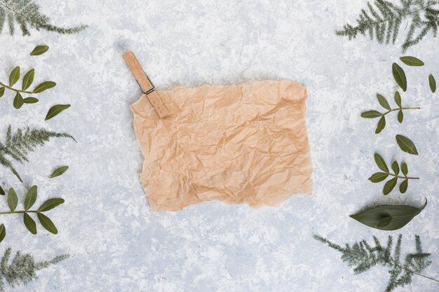 Feuille de papier avec des branches de plantes sur la table