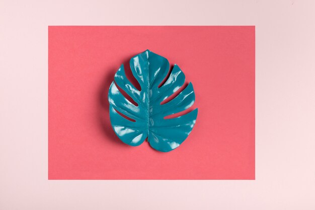 Feuille turquoise sur fond rose