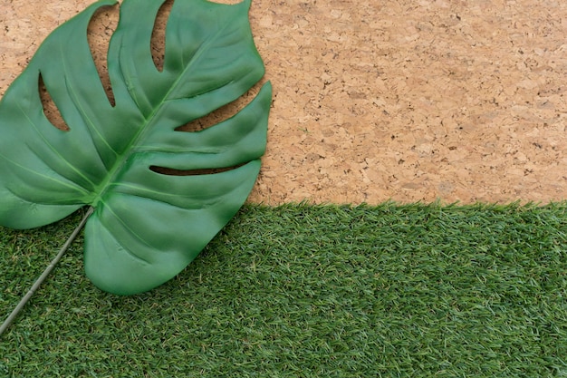 Photo gratuite feuille verte sur l'herbe et en liège fond