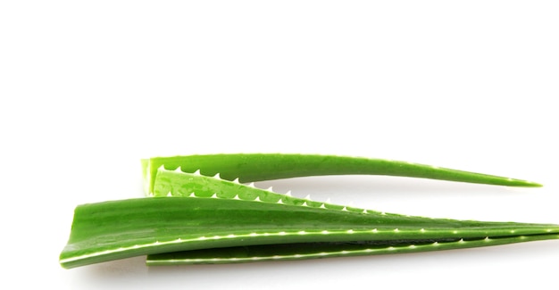 Feuilles d'aloe vera isolés sur fond blanc