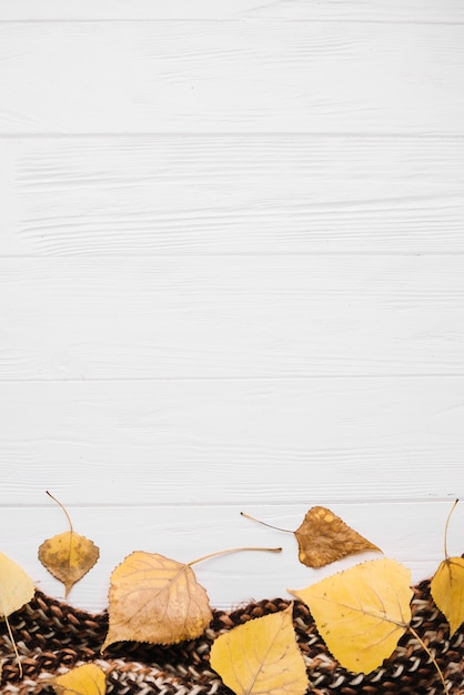 Photo gratuite feuilles d'automne sur l'écharpe