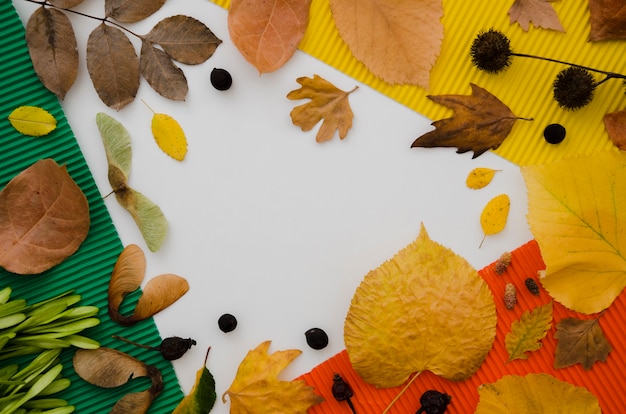 Photo gratuite feuilles d'automne à plat avec espace de copie