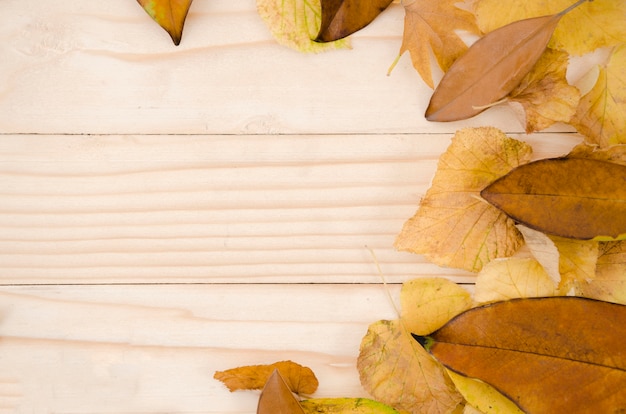 Photo gratuite feuilles d'automne à plat avec espace de copie