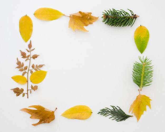 Feuilles d&#39;automne à plat avec espace de copie