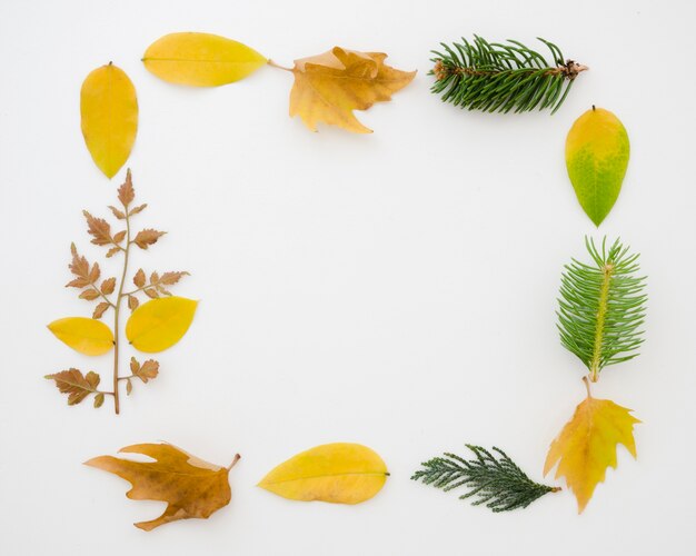 Feuilles d&#39;automne à plat avec espace de copie