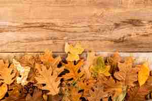 Photo gratuite feuilles d'automne sec sur fond en bois