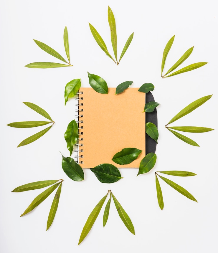Photo gratuit feuilles autour de cahier fermé
