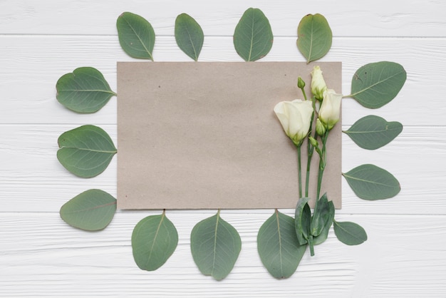 Feuilles autour du papier et des fleurs