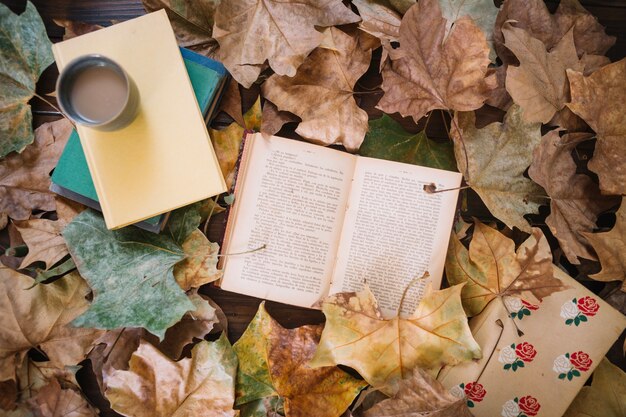 Feuilles autour des livres et des boissons