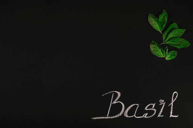 Photo gratuite feuilles de basilic et d'écriture