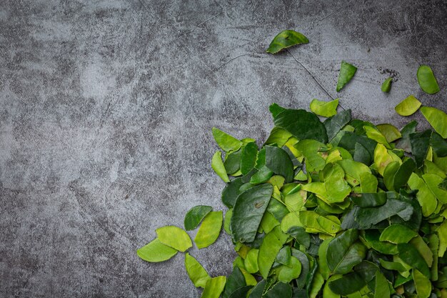 Feuilles de bergamote fraîches sur sol sombre