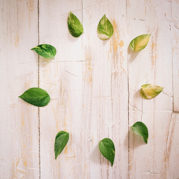 Photo gratuite feuilles en cercle sur bois