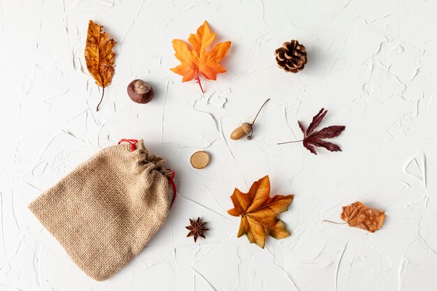 Feuilles différentes sur fond blanc