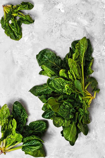 Feuilles d'épinards frais verts sur béton gris neutre