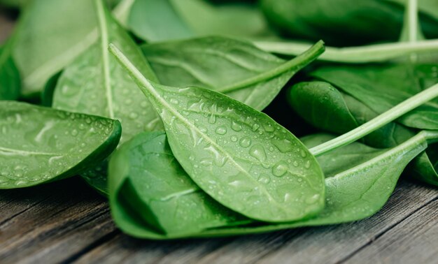 Feuilles d'épinards verts frais humides sur un fond en bois