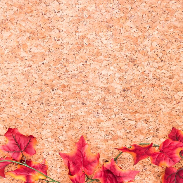 Feuilles d&#39;érable sur un bureau en bois