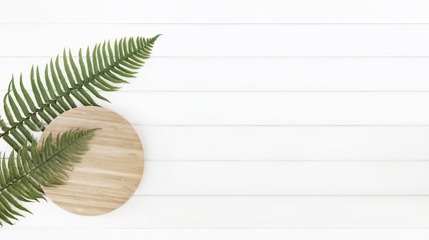 Feuilles de fougère et assiette en bois circulaire sur des panneaux en bois blanc.