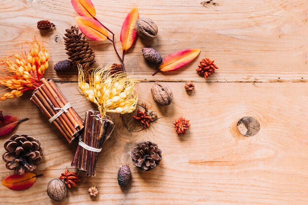 Feuilles multicolores avec des fleurs et des bâtons de cannelle