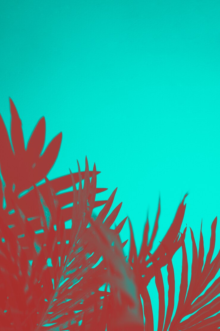 Photo gratuit feuilles de palmier rouge sur fond turquoise