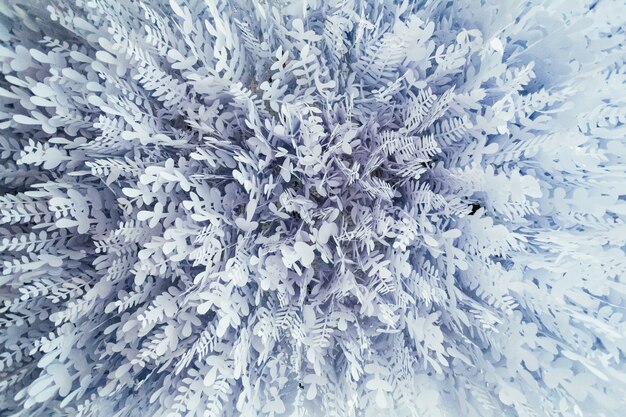 Les feuilles de papier blanc s&#39;accrochent sous le plafond