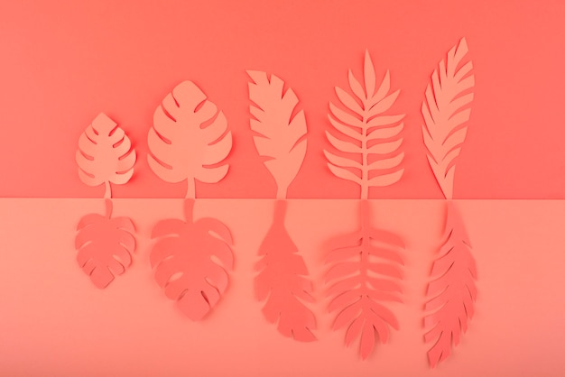 Photo gratuite feuilles de papier sur fond de corail