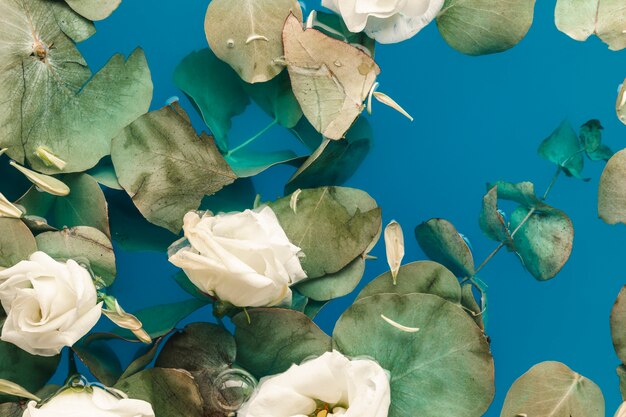 Feuilles et pétales dans l'eau bleue