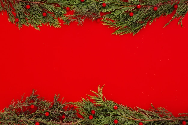 Feuilles de pin de Noël sur fond de cadre rouge avec fond