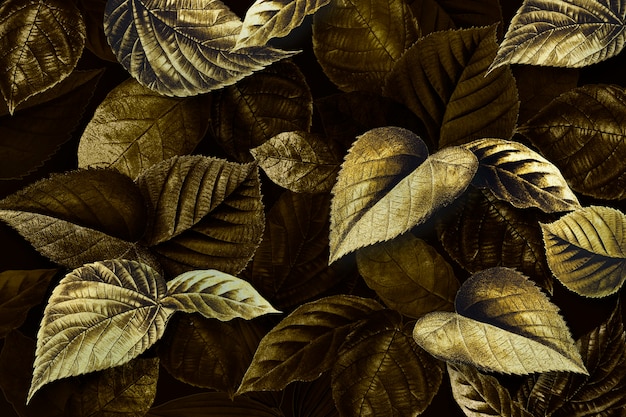 Feuilles de plantes dorées fond texturé