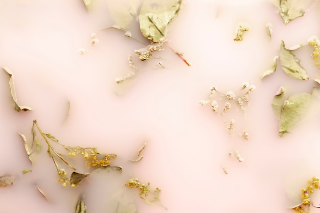 Feuilles plates dans de l'eau colorée rose