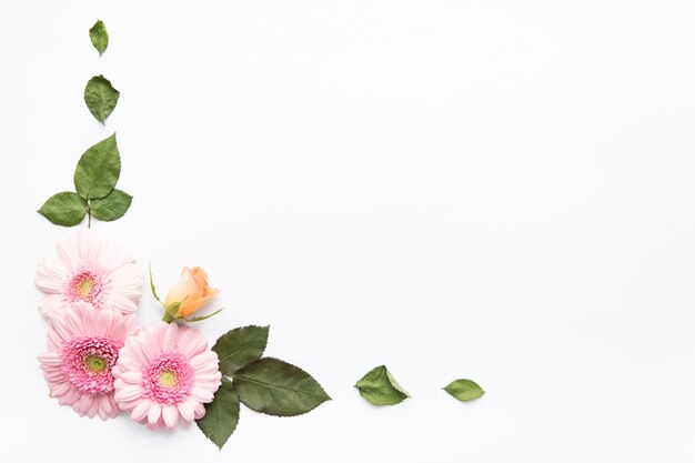 Feuilles près des marguerites et des boutons de roses