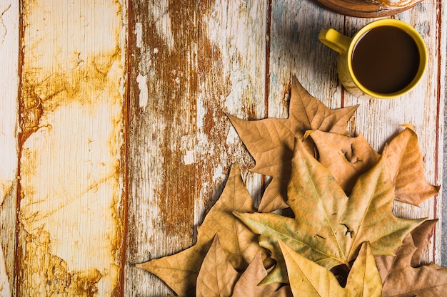 Feuilles près de la tasse de café