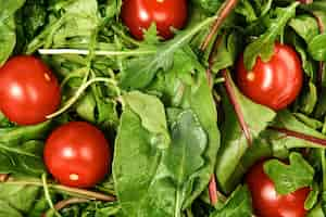 Photo gratuite feuilles de roquette fraîches, tomates cerises, blettes et micro-verts, idée de préparation de salade printanière fraîche, régime alimentaire, nourriture végétarienne. vue de dessus de légumes frais, gros plan