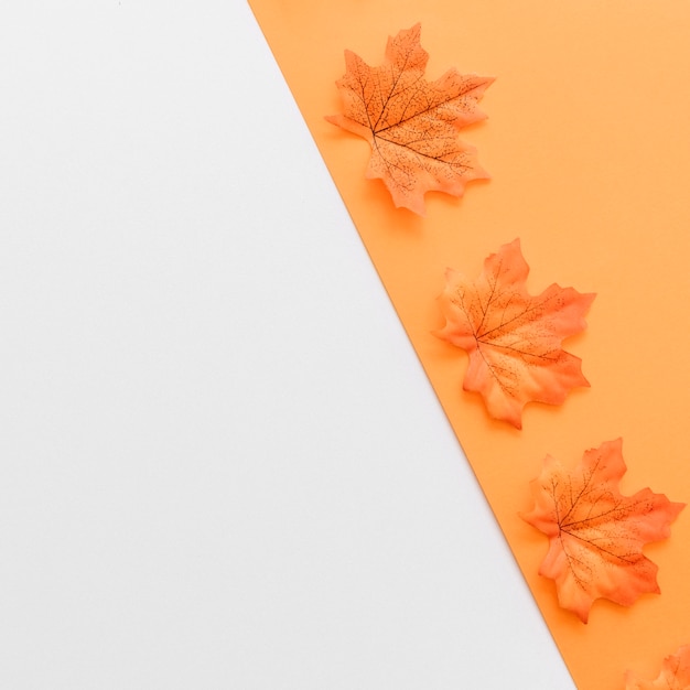 Feuilles sèches d&#39;automne conçues à l&#39;intérieur de la forme d&#39;orange