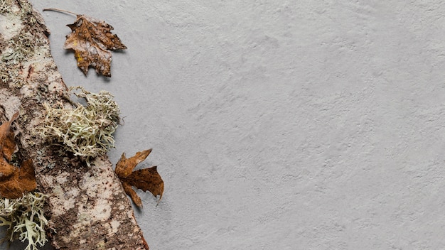 Feuilles sèches à plat avec espace de copie