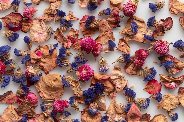 Feuilles sèches à plat