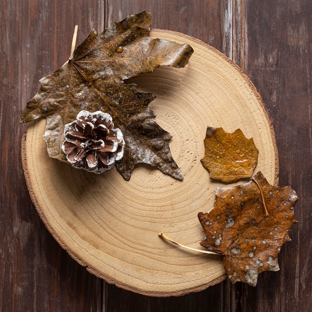 Photo gratuite feuilles sèches à plat