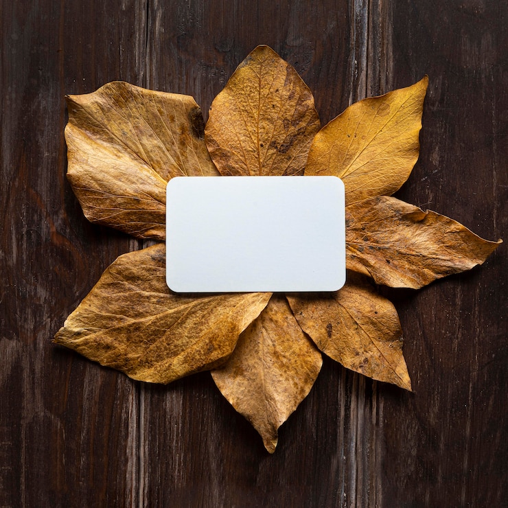 Photo gratuit feuilles sèches à plat