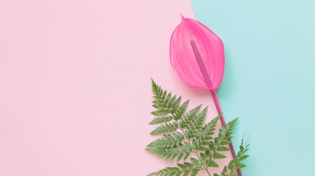 Feuilles tropicales et fleur rouge d'anthurium le fond minimal de l'été