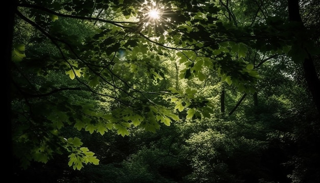 Feuilles vertes sur une branche d'arbre éclairées par la lumière du soleil générée par l'IA