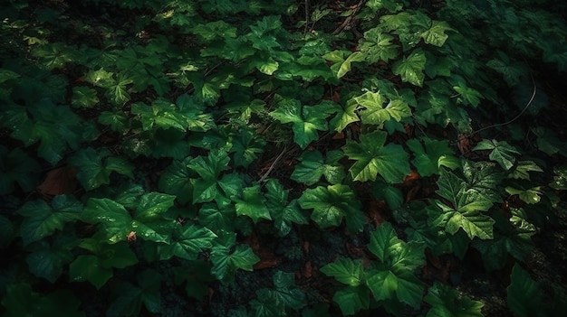 Photo gratuite feuilles vertes de la forêt ai image générée