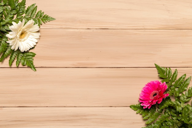 Feuilles vertes de fougère et de fleurs colorées sur une surface en bois