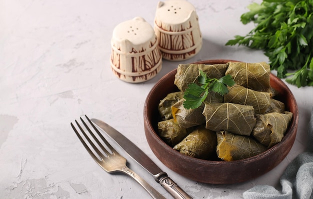 Feuilles de vigne farcies - cuisine méditerranéenne traditionnelle, dolma sur une assiette brune avec du persil frais sur fond gris clair. espace pour le texte