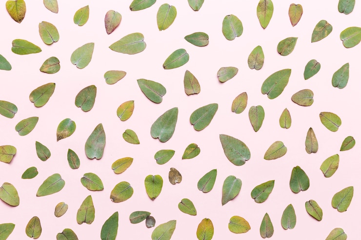 Photo gratuit feuilles