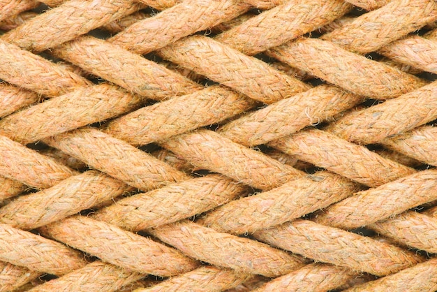 Fibers close up