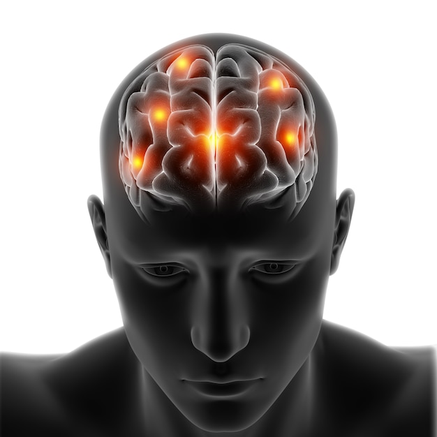 Photo gratuite figure médicale 3d avec le cerveau en surbrillance sur fond blanc