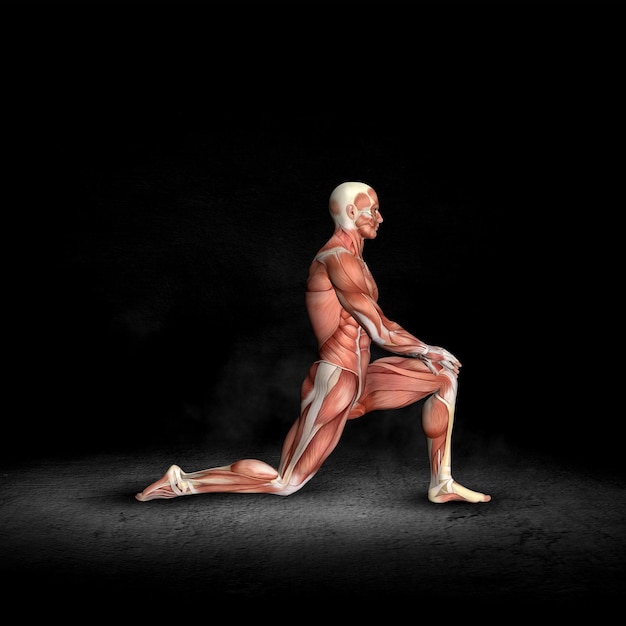 Photo gratuite figure médicale masculine 3d avec carte musculaire dans la pose d'étirement de l'iliopsoas à genoux dans l'intérieur grunge