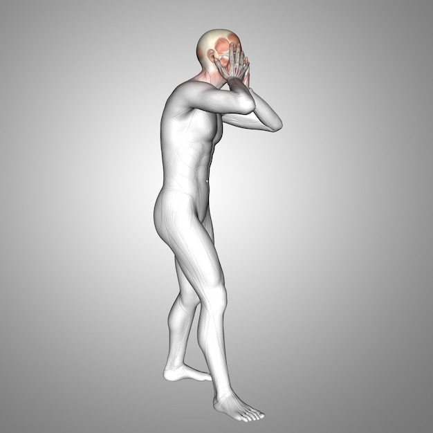 Figure médicale masculine 3D tenant la tête avec les muscles mis en évidence