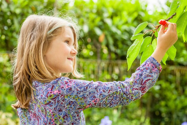 Fille et cerisier avec soleil d'été en arrière-plan