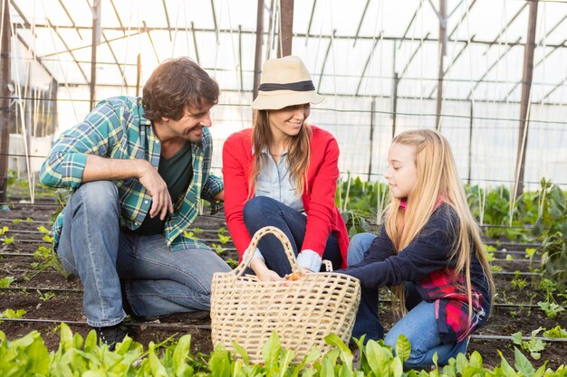 Fille gardant les légumes dans le panier