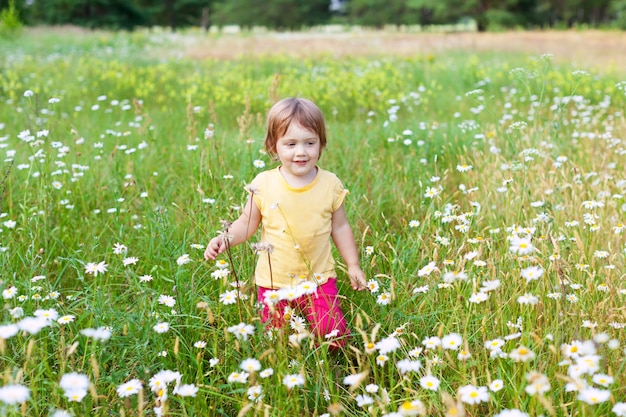 Photo gratuite fille en marguerite pré